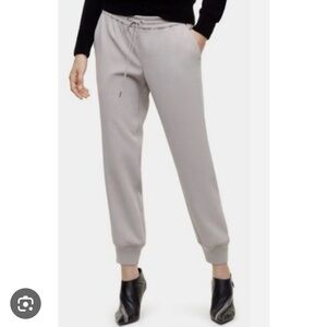 Wilfred x Aritzia Gray Buffon Jogger style Pants size large
